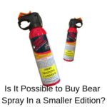 Is it Possible to Buy Small Bear spray?