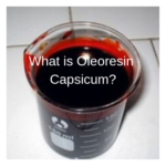 What is Oleoresin Capsicum?