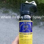 Where To Buy Bear Spray And How Much Does It Cost?