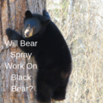 Does Bear spray work on Black Bear?
