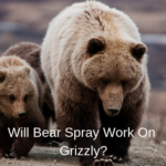 Does Bear Spray work on Grizzly Bear?