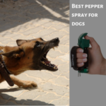 The Best Pepper Spray for Dog Attacks