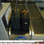 Bear Spray is not allowed In checked luggage, but you can do this