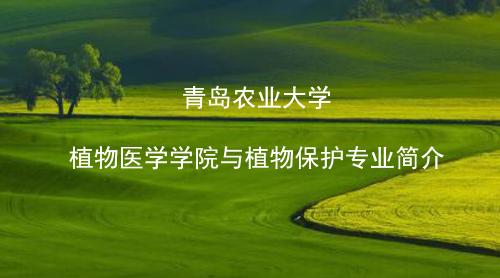 世界杯2026官方网站植物保护专业介绍